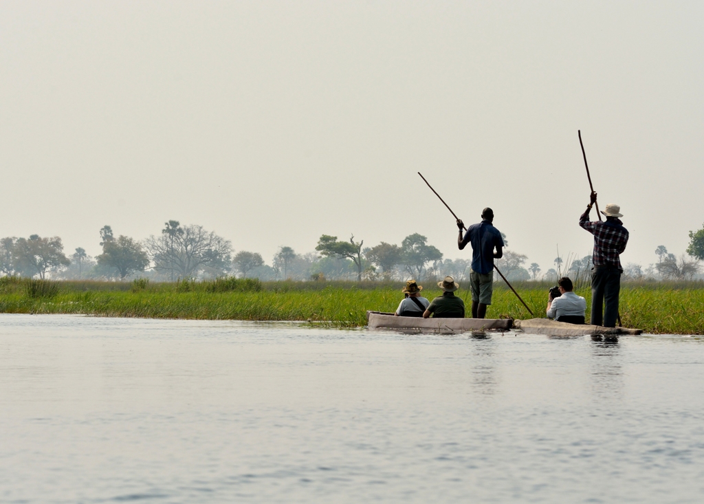 okavango colagrossi